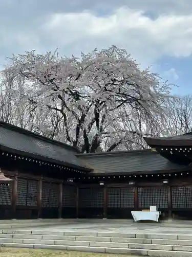長野縣護國神社(長野県)