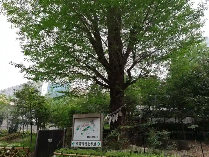 東郷神社の自然