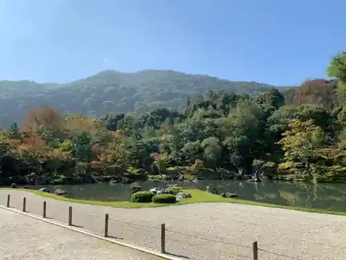 天龍寺の庭園