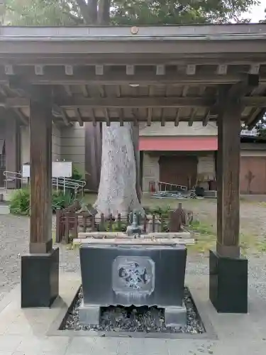 日野八坂神社の{uncategorized: "未分類", other: "その他", undefined: "問題あり", building: "その他建物", grave: "お墓", sacred_gate: "鳥居", guardian: "狛犬", statue: "像", buddha: "仏像", history: "歴史", nature: "自然", garden: "庭園", animal: "動物", pagoda: "塔", temizu: "手水舎", mountain_gate: "山門・神門", sanctuary: "本殿・本堂", subordinate: "末社・摂社", art: "芸術", scenery: "景色", jizo: "地蔵", ema: "絵馬", goshuin: "御朱印", omikuji: "おみくじ", items: "授与品その他", amulet: "お守り", goshuincho: "御朱印帳", eats: "食事", festival: "お祭り", votive_dance: "神楽", shichigosan: "七五三参", wedding: "結婚式", experience: "体験その他", initially: "初詣", around: "周辺", anti_infection: "感染症対策"}