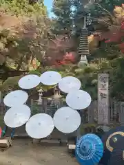 岡寺（龍蓋寺）(奈良県)