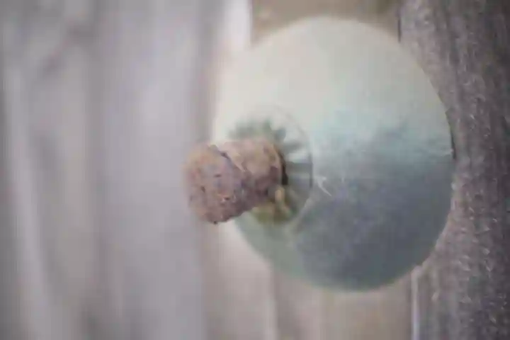 正福寺のその他建物