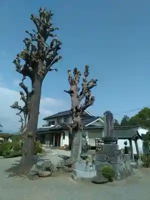 興蔵寺(山梨県)