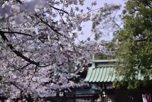三嶋大社(静岡県)