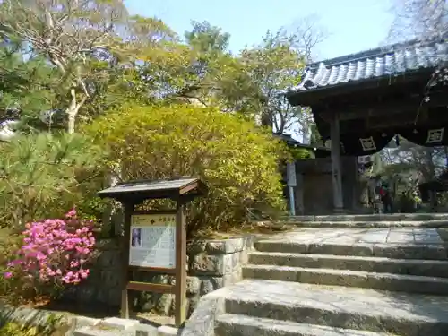 安國論寺（安国論寺）の山門