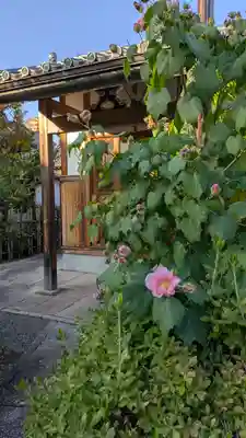 超圓寺(京都府)