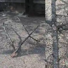 元郷氷川神社の建物その他