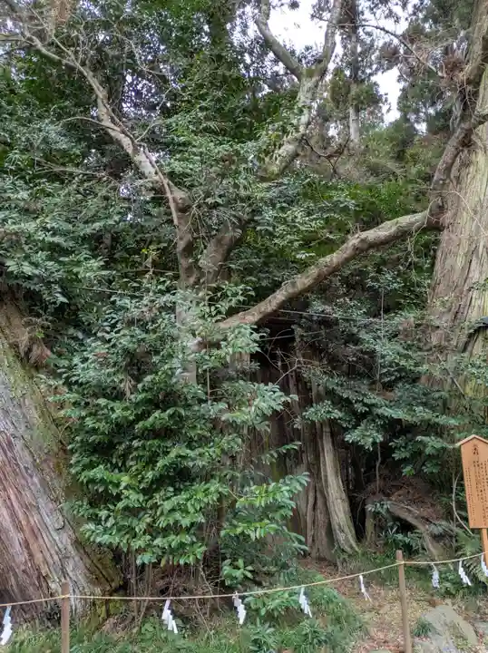 香取神宮(千葉県)