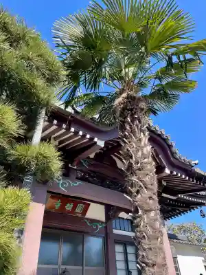 円頓寺(東京都)