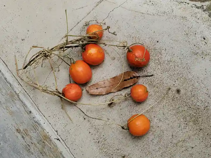 月水石神社(茨城県)