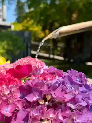 倶利迦羅不動寺鳳凰殿(石川県)