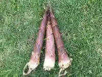 国宝 大法寺の食事