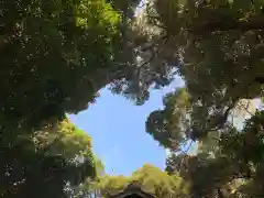 天満神社の自然