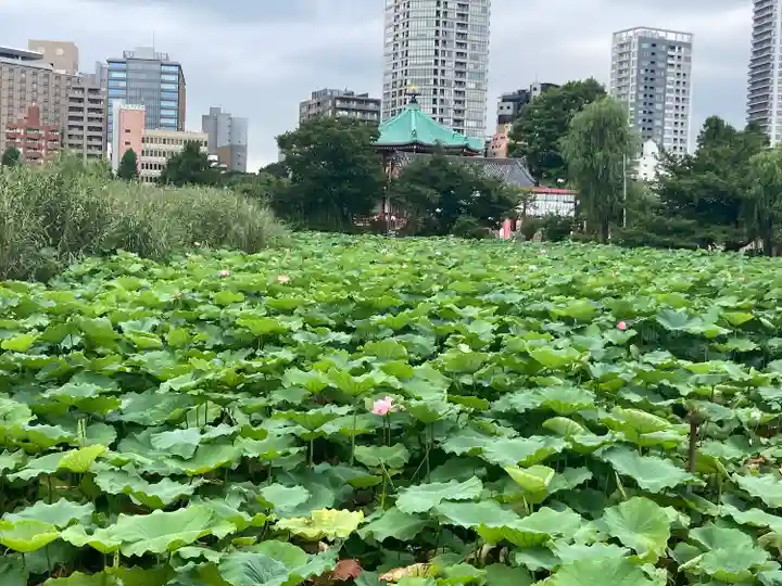 寛永寺不忍池弁天堂(東京都)