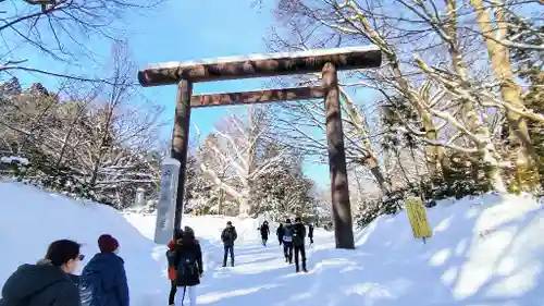 北海道神宮の鳥居