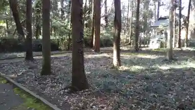 水戸神社の自然