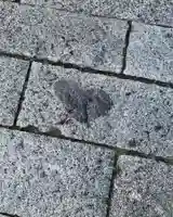 健田須賀神社のその他建物