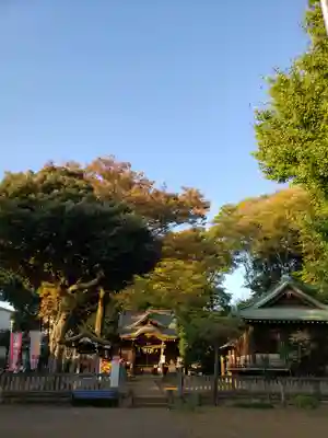 春日神社のその他建物