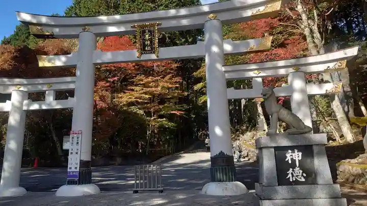 三峯神社(埼玉県)