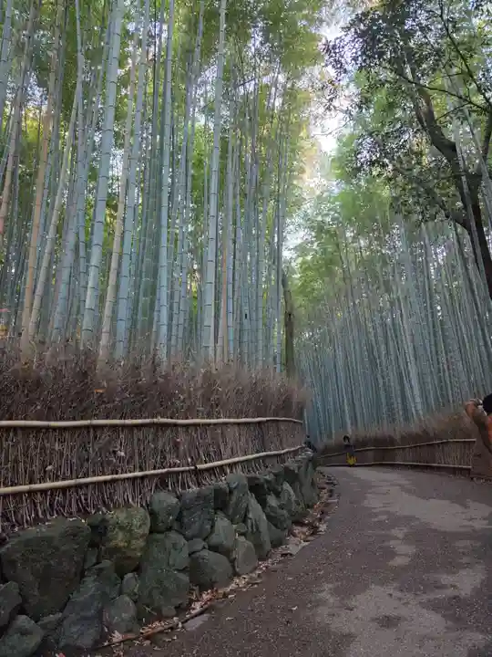 野宮神社(京都府)