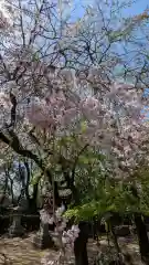 松ヶ崎大黒天 妙圓寺（妙円寺）(京都府)