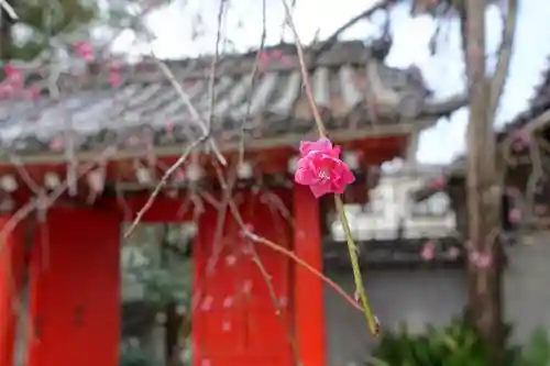 生根神社の自然