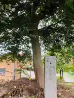 白山社(新潟県)