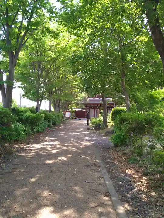 善導寺(群馬県)