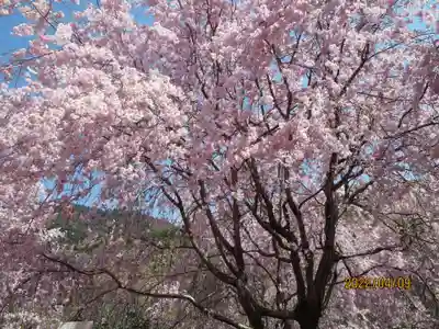  久延彦神社(奈良県)