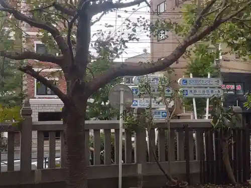 平塚神社の自然