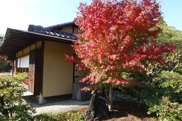 城南宮のその他建物