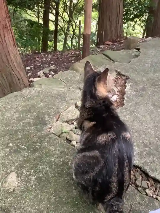 玉野御嶽神社の動物