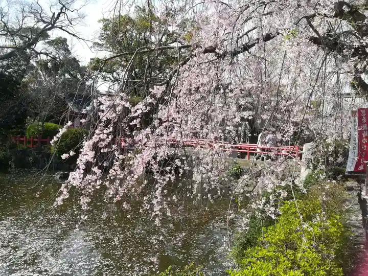 三嶋大社の自然