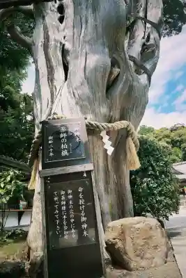 伊古奈比咩命神社(静岡県)