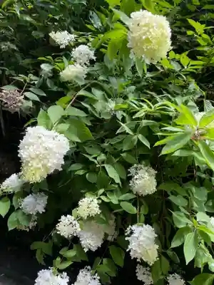 みささぎ権現(愛媛県)