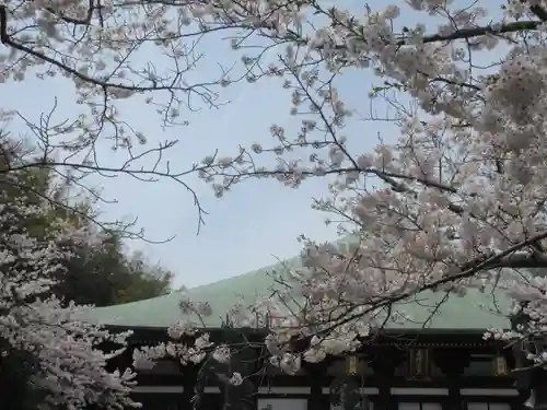 長勝寺の景色