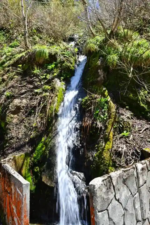 高龍神社(新潟県)