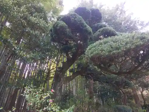 報国寺(神奈川県)
