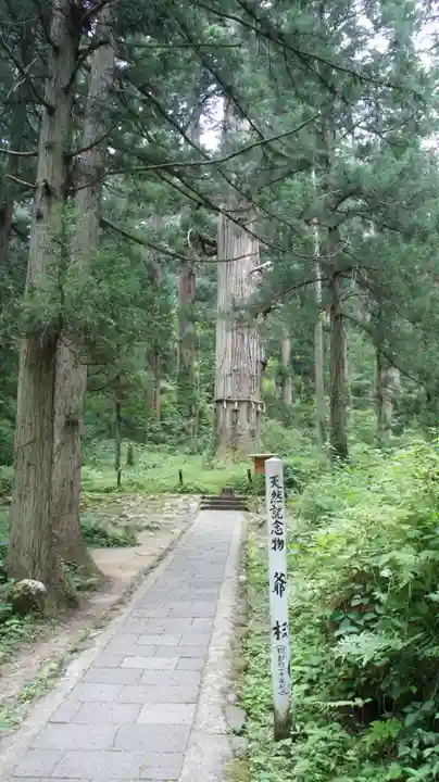 羽黒山五重塔(出羽三山神社)(山形県)