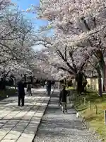 醍醐寺(京都府)
