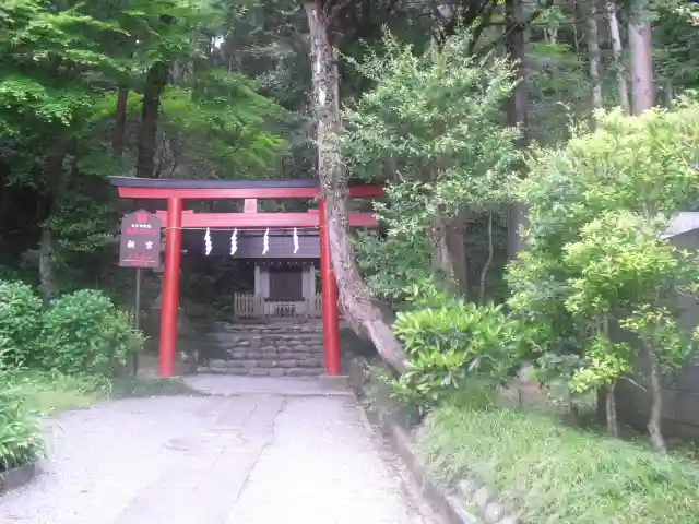 新宮神社(今宮)の鳥居