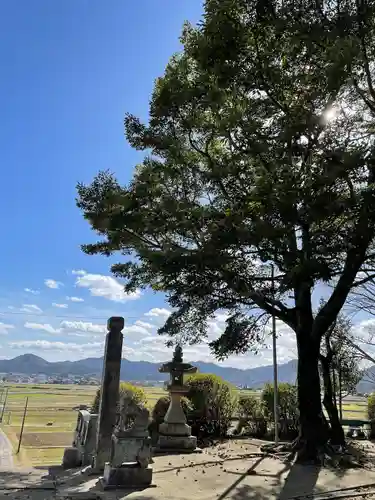 櫻井八幡宮(山口県)