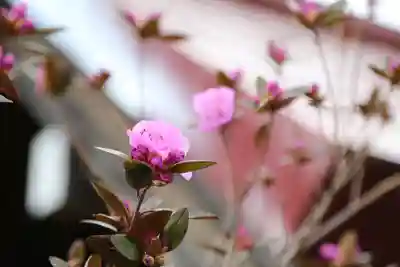 江部乙神社の自然