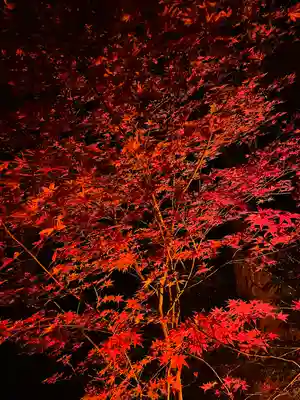 尊永寺(静岡県)