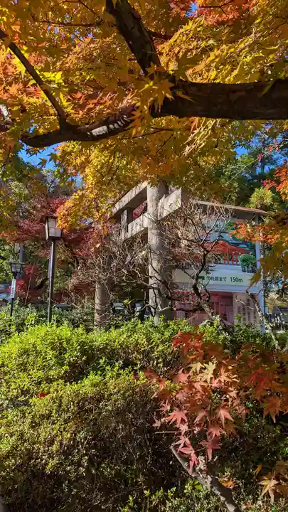長岡天満宮(京都府)