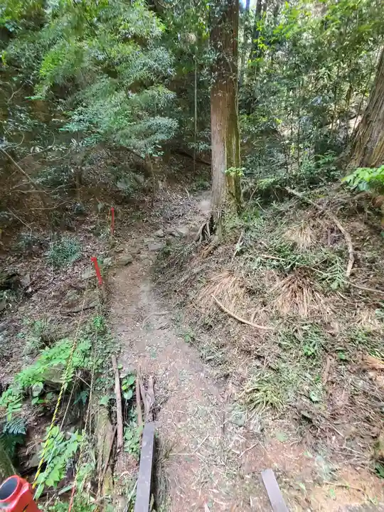 名草厳島神社の自然