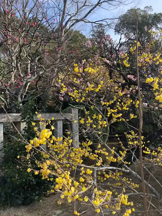 元三大師安楽寺の自然