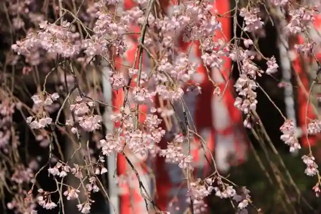 龍光寺のその他建物