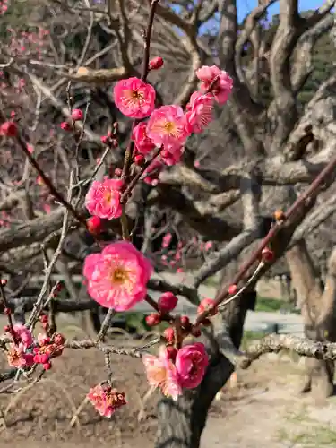 常磐神社の自然