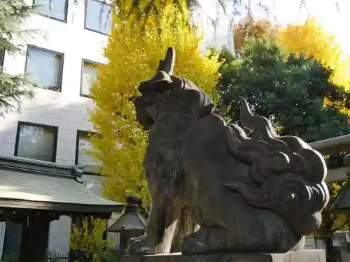 青山熊野神社の狛犬